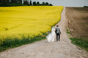 Bride, groom walking back on way summer field of yellow rapes flowers, canola field. A newlywed wedding couple running on a country straight road for their honeymoon. Top rear view.