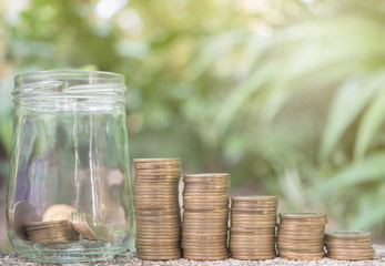 coin stack background bush.