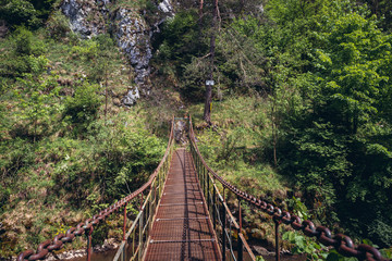 Fototapeta na wymiar Bridge over River Hornad in park called Slovak Paradise, Slovakia