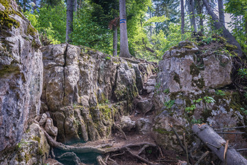 Fototapeta premium Tourist path to rock shelf known as Tomasovsky vyhlad in Slovak Paradise mountain range in Slovakia