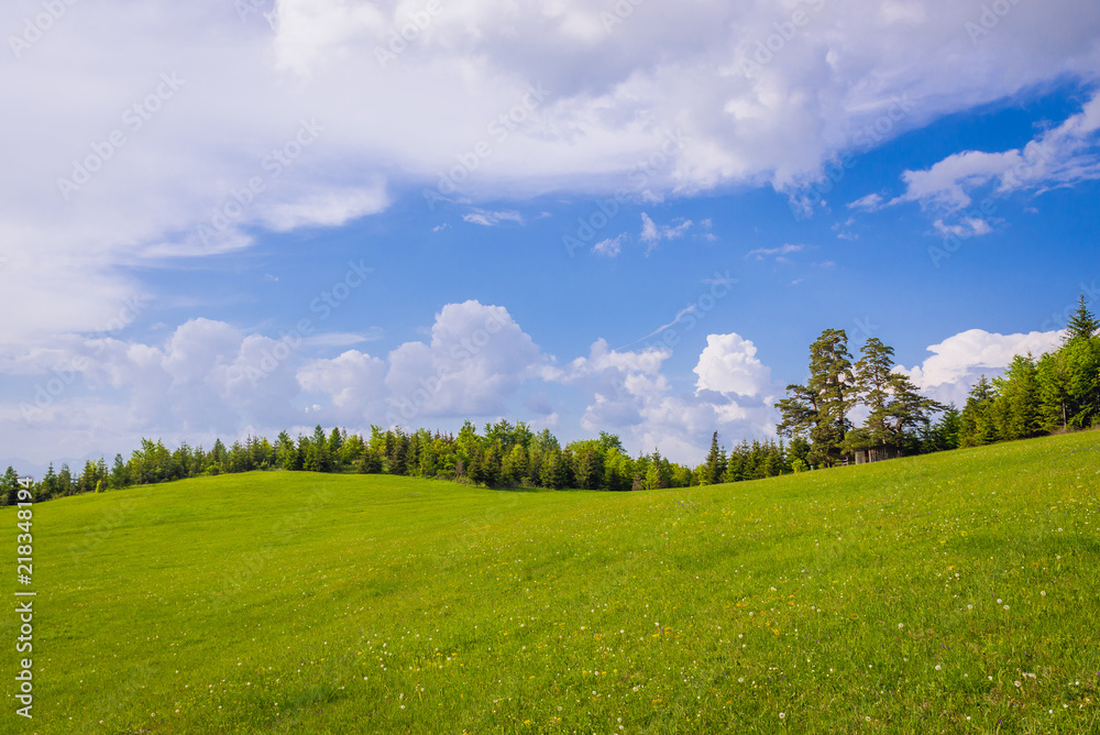 Wall mural Meadow in Klastorisko in Slovak Paradise National Park in Slovakia