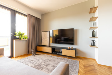 Television above cupboard with poster in bright living room interior with plant and drapes. Real photo