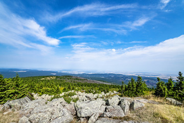Landscape from a mountain with cliffs and forest