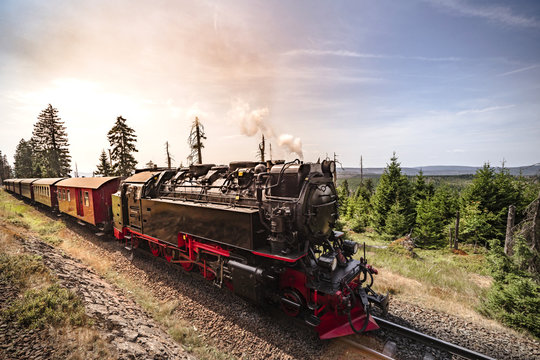 Fototapeta Steam locomotive driving through beautiful nature