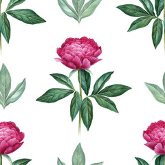 Fototapeta premium Watercolor peony flowers illustration. Seamless pattern