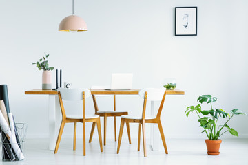 Pink lamp above wooden chairs at table in white interior with poster on the wall and plant. Real...
