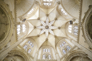Star-shaped vault of one of the chapels of the Burgos Cathedral, Spain - obrazy, fototapety, plakaty