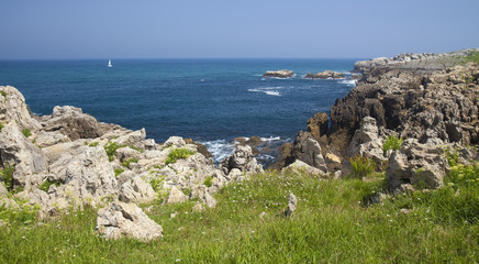 Cantabria, coastal landscape