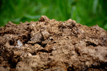 dried wastage of animals in a farm for agriculter purpose