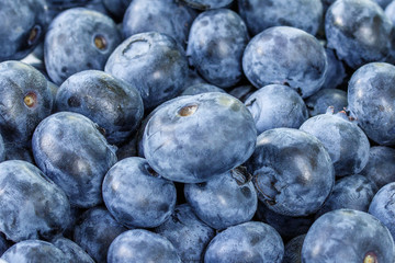 Fresh Blueberry Background. Texture blueberry berries close up