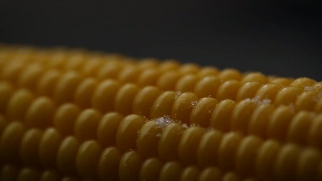 Boiled corn sprinkled with salt on a black background closeup