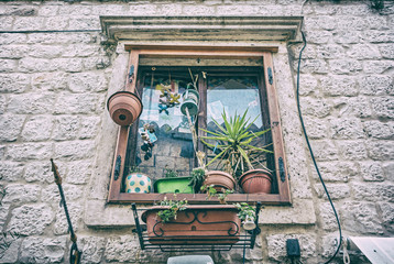 Windows with potted plants and decorations, analog filter