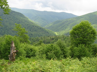 Зелені гори