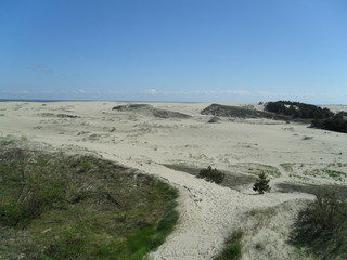 Curonian spit