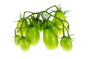 Branch of green unripe cherry tomatoes