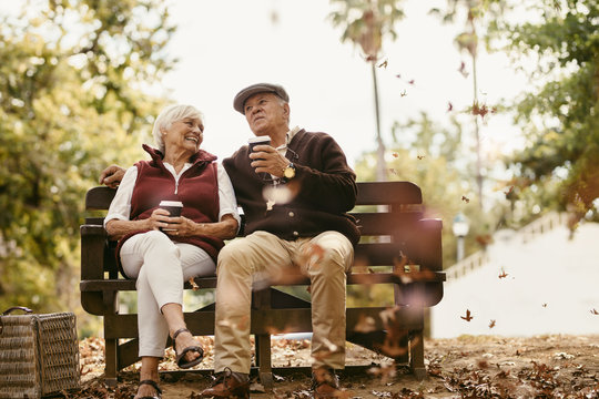 Relaxed Senior Couple On Picnic