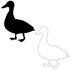 a white background silhouette goose, bird duck