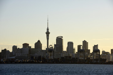 Fototapeta premium Auckland Harbour, New Zealand