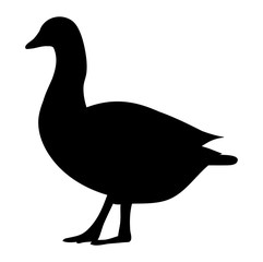 isolated on a white background silhouette goose, duck