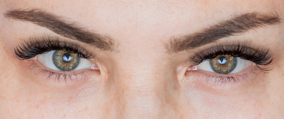 Fototapeta premium Kobieta oko z długimi rzęsami. Przedłużanie rzęs