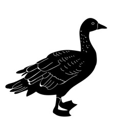 silhouette duck on white background