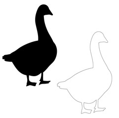 silhouette of geese and ducks on white background