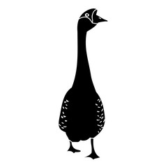 silhouette goose, on white background