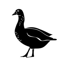 silhouette duck, on white background