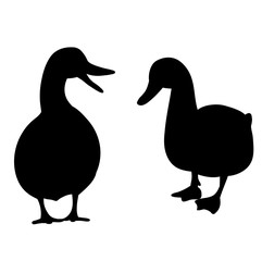 white background silhouette duck