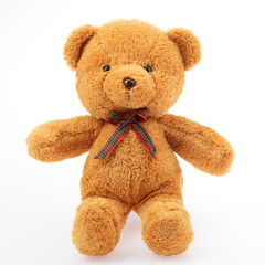 Brown bear doll studio shot on white background