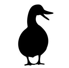 isolated silhouette of a duck, goose