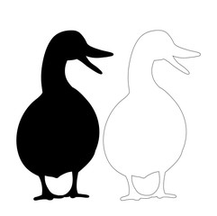 vector, isolated, silhouette duck, on white background