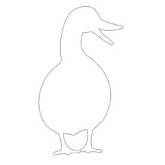 contour duck on white background