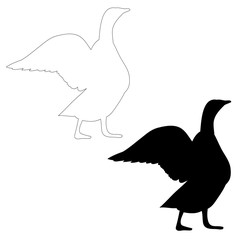 silhouette goose, duck, bird
