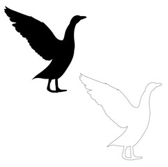 a white background silhouette goose, duck, bird