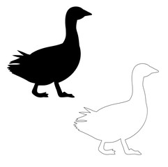 Fototapeta na wymiar silhouette of a goose