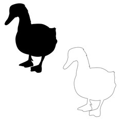  isolated on a white background silhouette of a goose