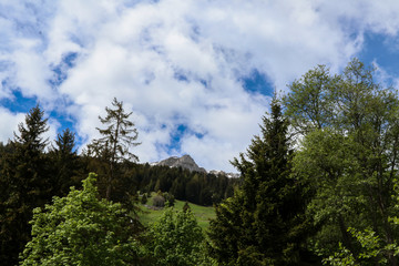 Vebier - switzerland