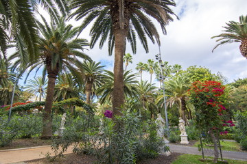 Obraz na płótnie Canvas Park Garcia Sanabria, Santa Cruz, Tenerife, Canary islands, Spain