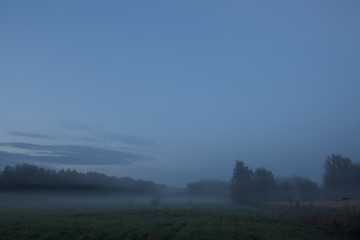 Fototapeta na wymiar Foggy grassland at dawn landscape nature background