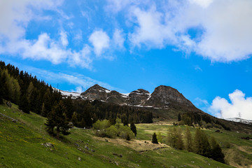 Vebier - switzerland