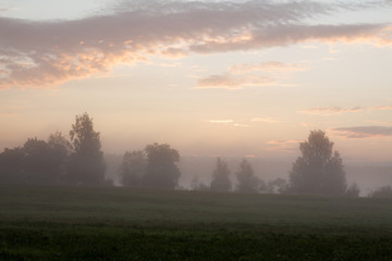 Tranquil foggy grassland and trees at sunrise