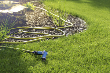 Rubber garden hose laying on lawn and bark garden rim.