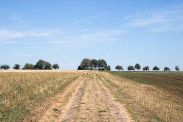 Eltzer Burgpanorama