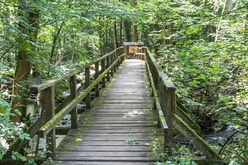 Holzbachschlucht