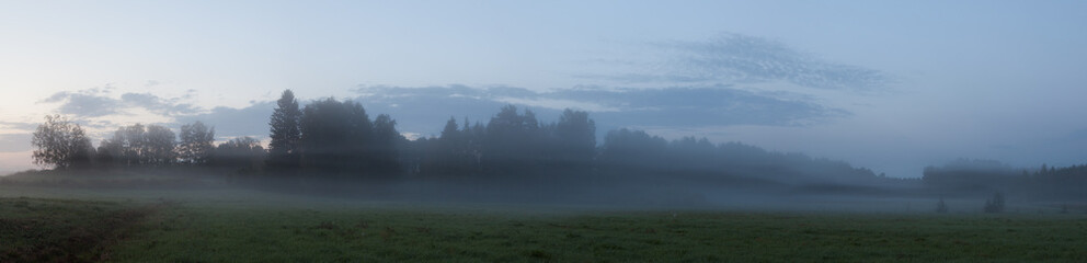 Misty meadow landscape at dawn