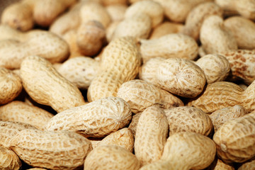 Peanuts in shells on the background of sacking.