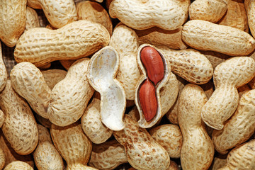 Peanuts on the background of sack cloth