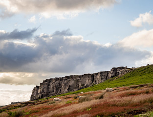 Fototapeta na wymiar Rock formations with sheep in the Peak District of England