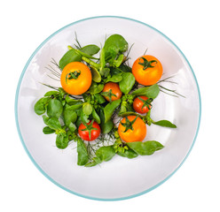 Dishes with Portulaca oleracea